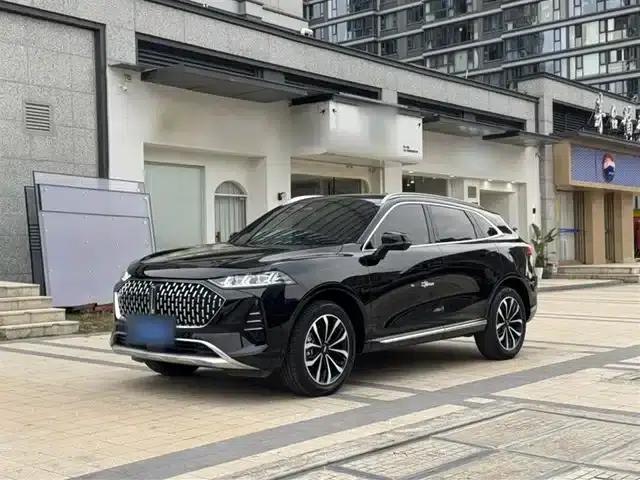Wei brand Mocha 2021 2.0T 2WD Extra Rich Edition