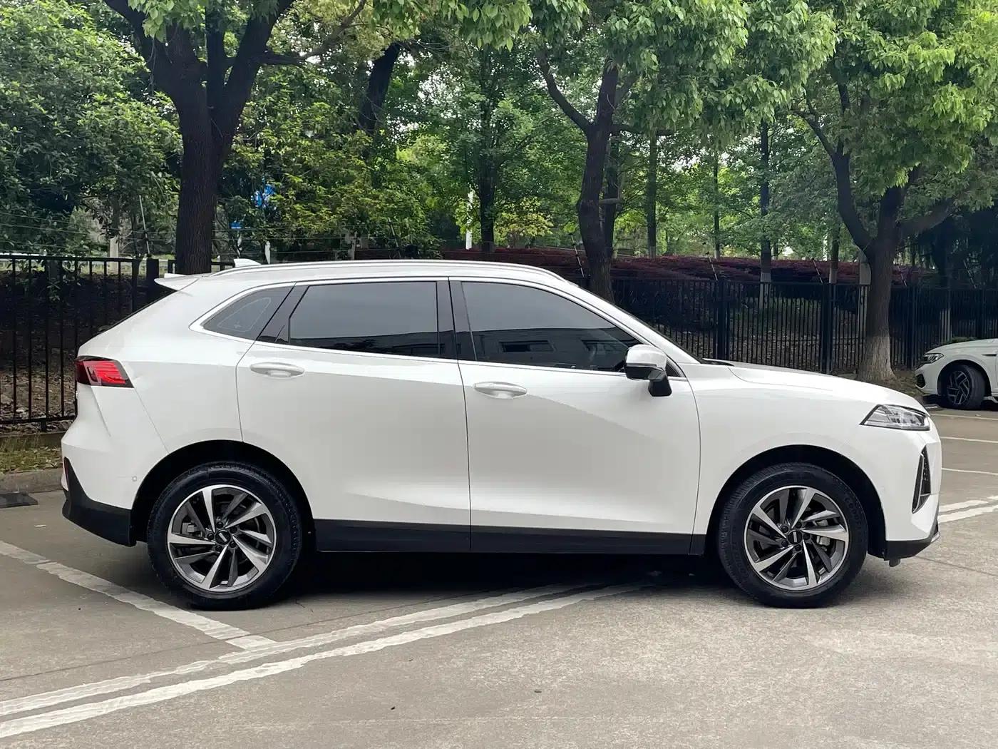 Macchiato DHT 2021 1.5L DHT Master Edition — миниатюра 4