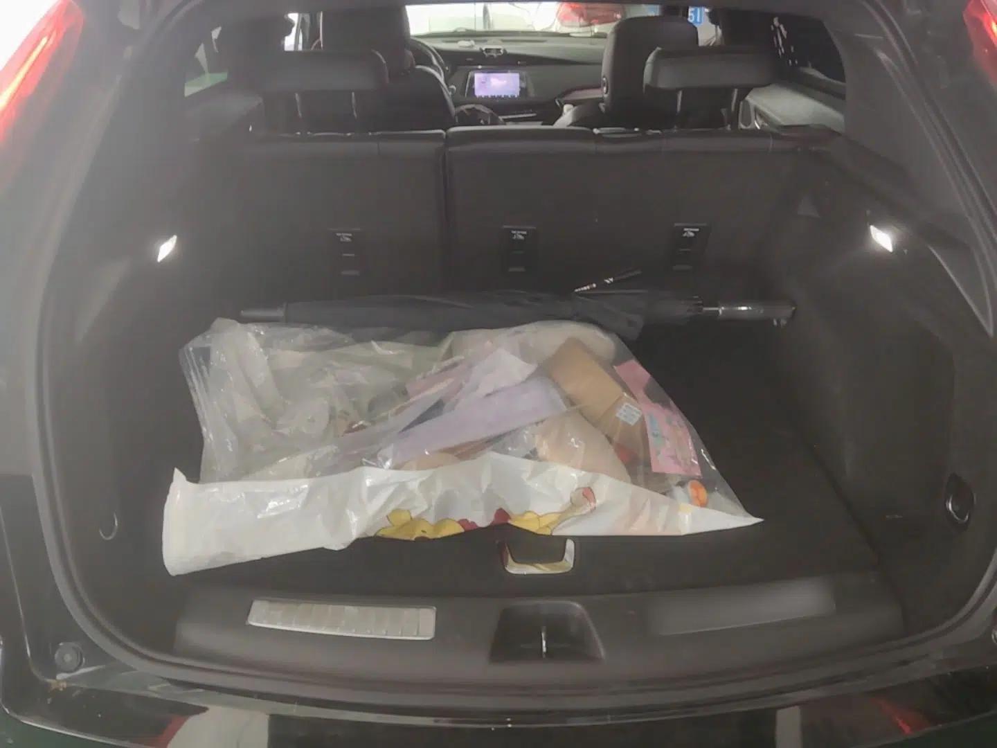 Cadillac XT4 2020 Revised Version 28T Two-Wheel Drive Leading Edition — миниатюра 22