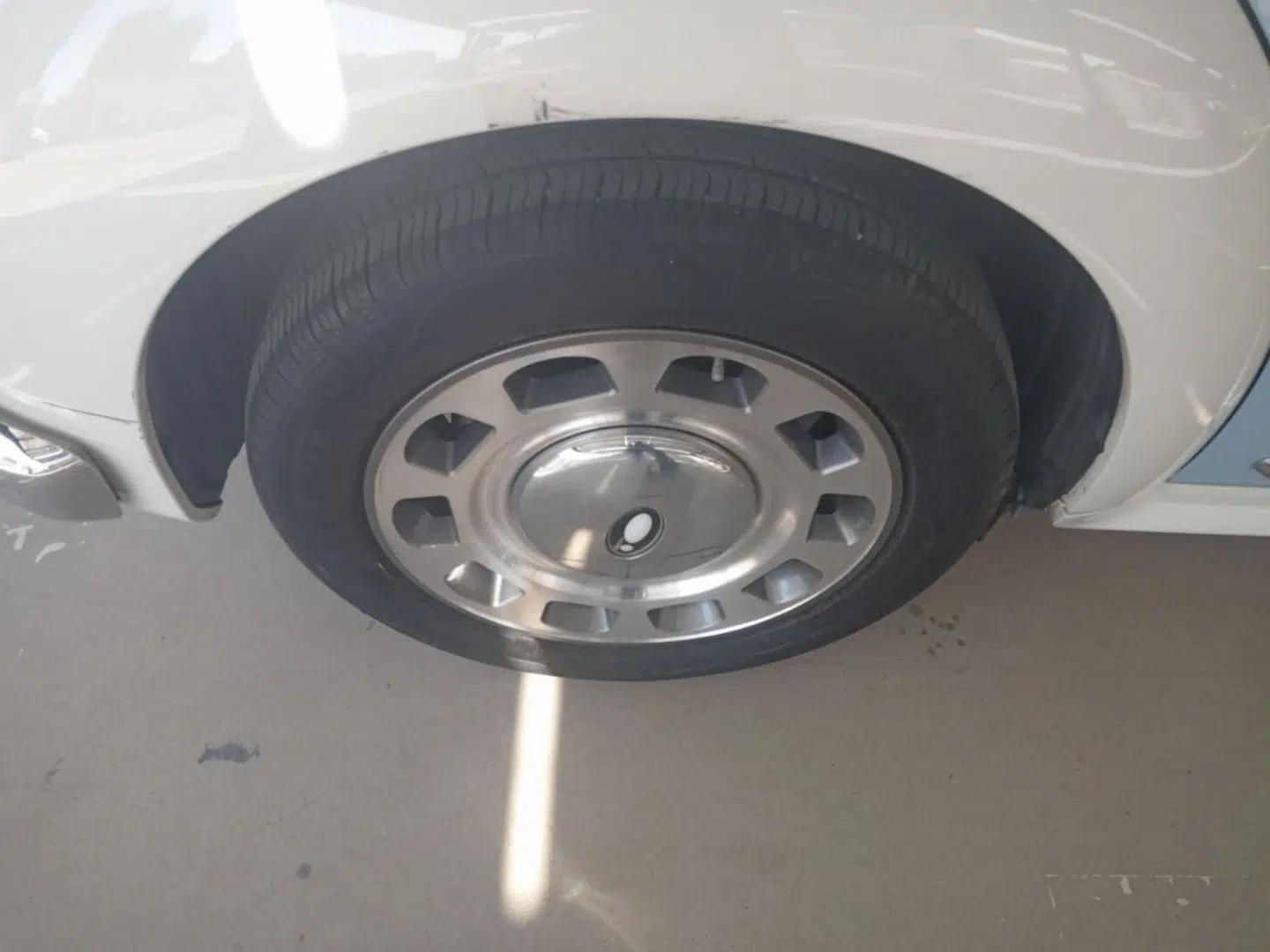ORA Ballet Cat 2022 401 km Alice Edition — миниатюра 10