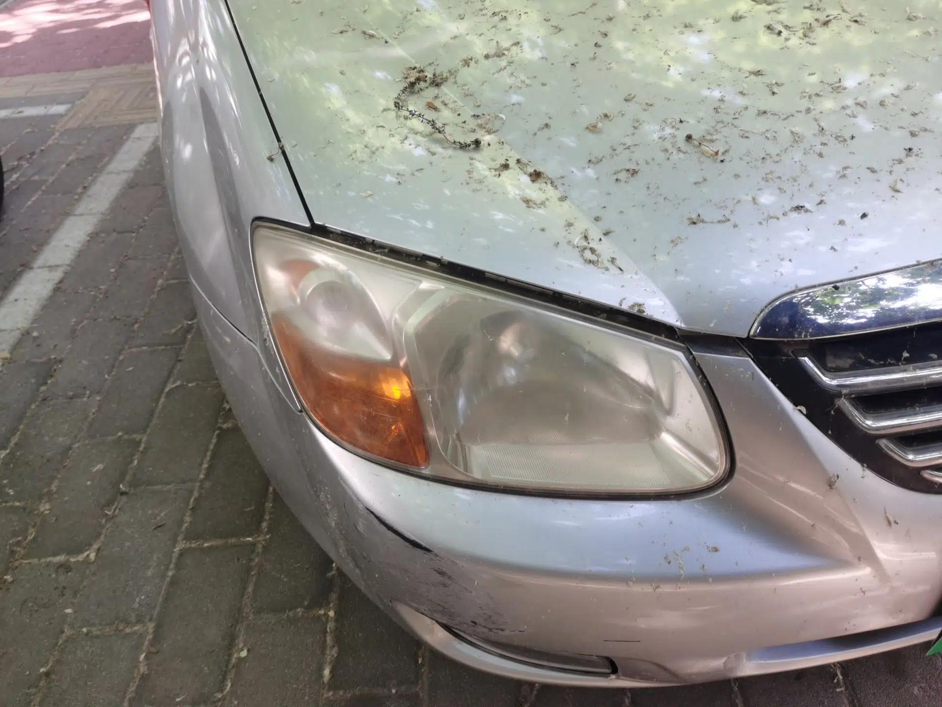 Kia Cerato 2010 1.6L MT GL — миниатюра 7