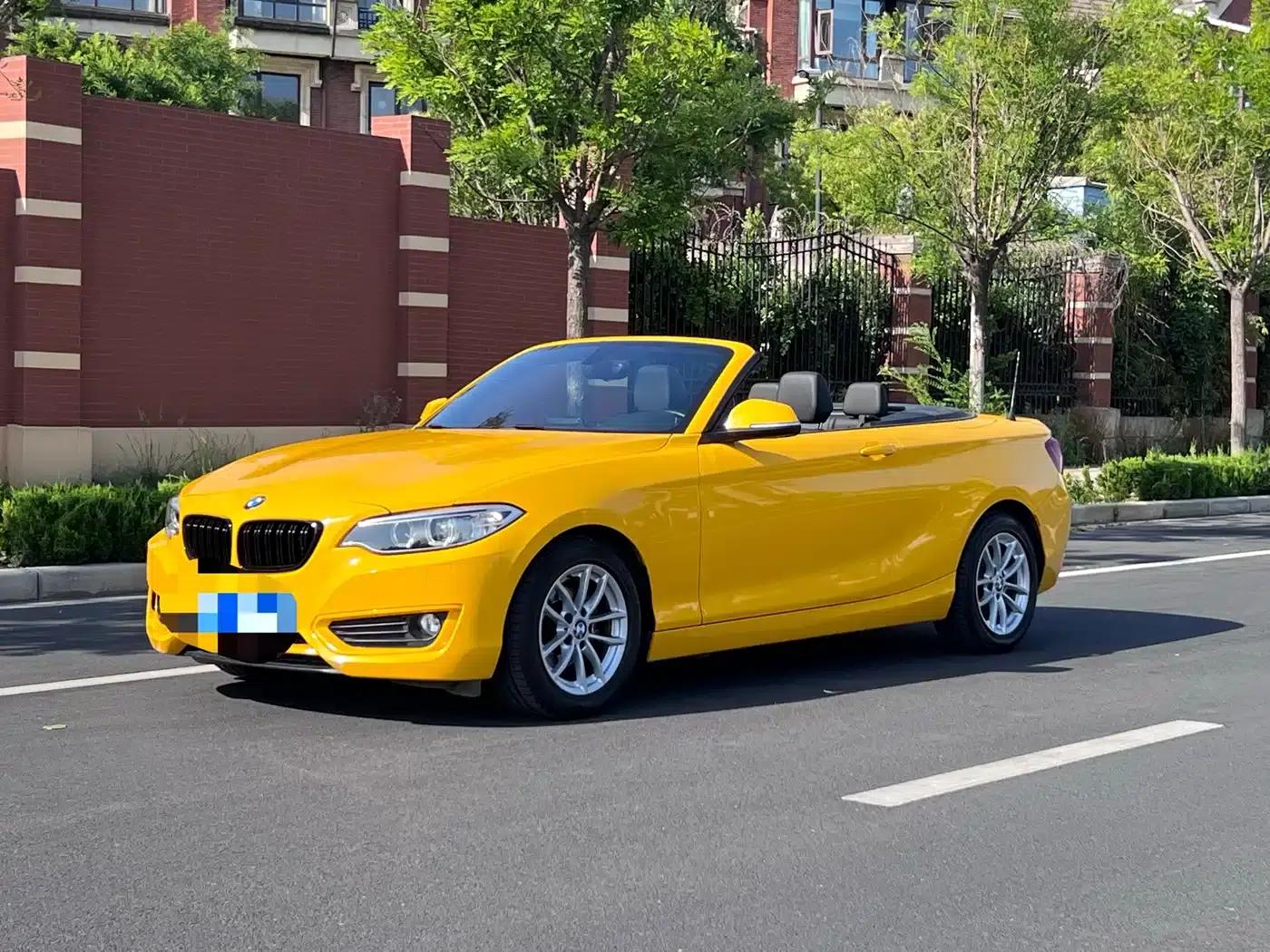 2015 BMW 2 Series Imported 218i Convertible Coupe — миниатюра 1