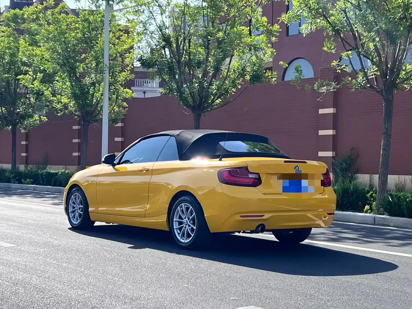 2015 BMW 2 Series Imported 218i Convertible Coupe — миниатюра 5