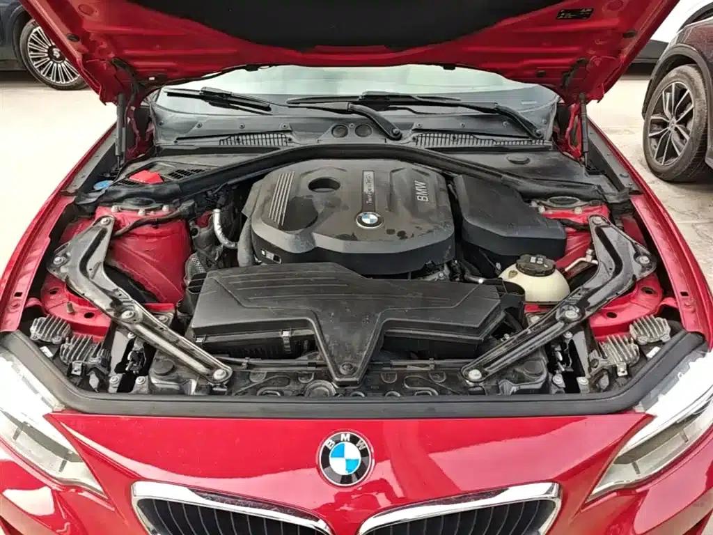 2015 BMW 2 Series (Imported) 218i Convertible Coupe — миниатюра 20