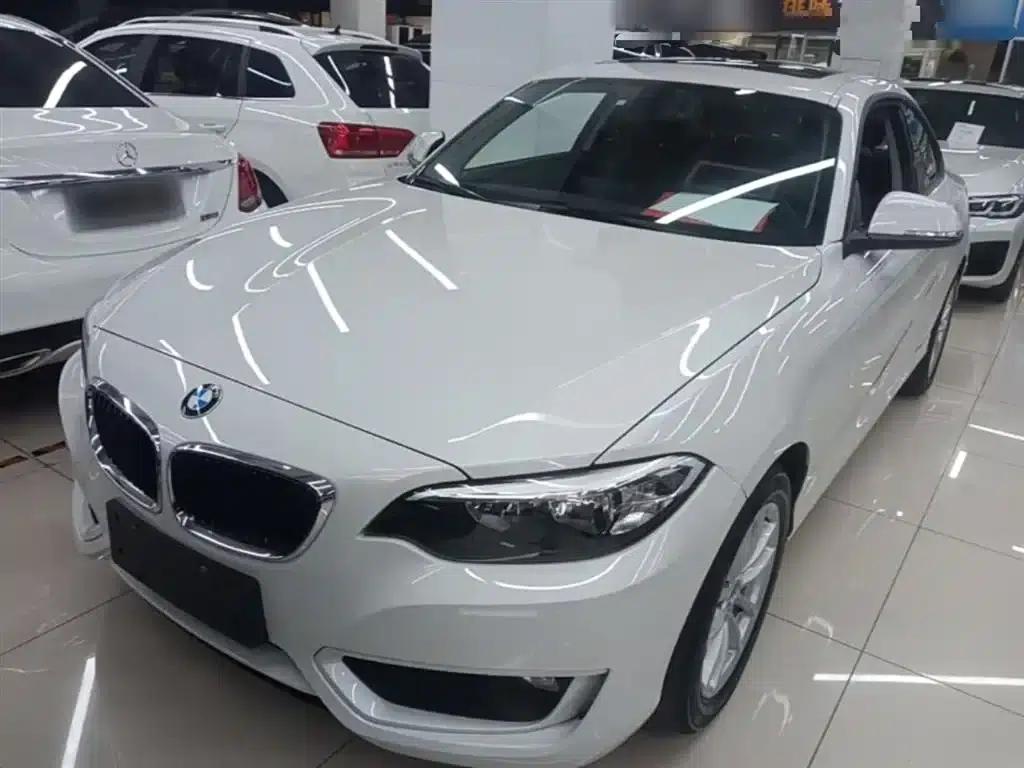 2015 BMW 2 Series (Imported) 218i — миниатюра 1