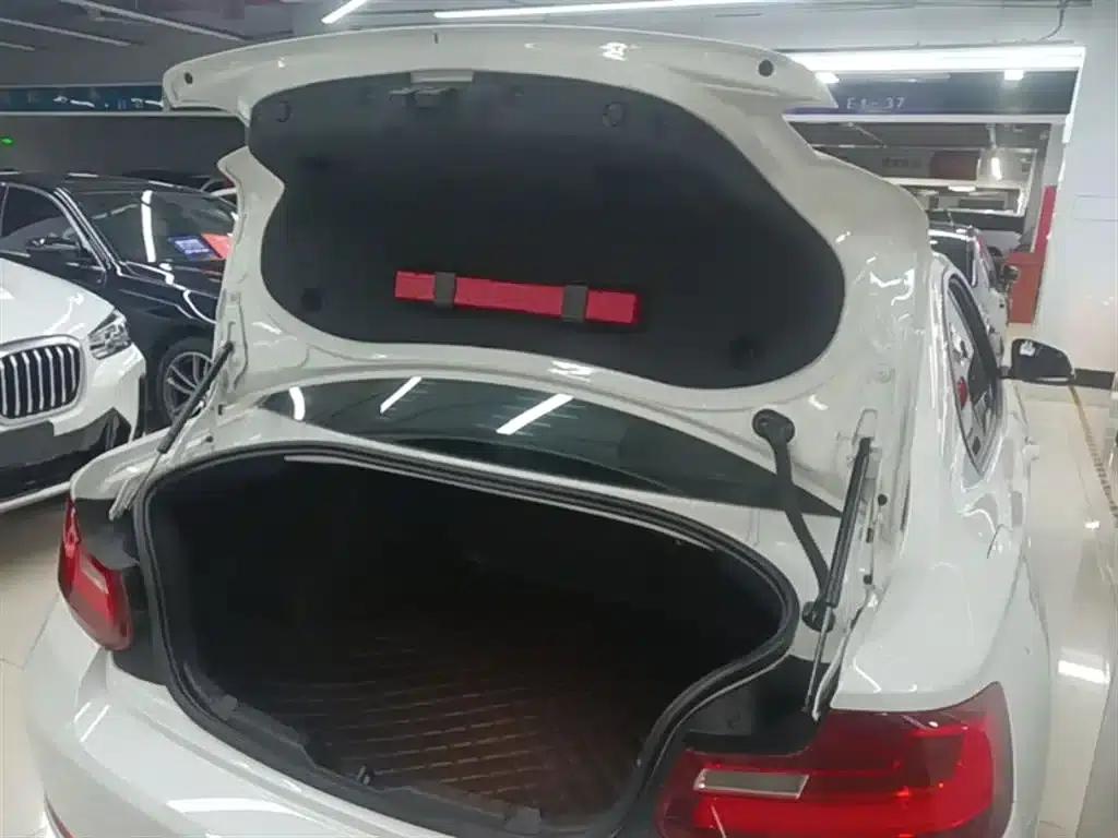2015 BMW 2 Series (Imported) 218i — миниатюра 19