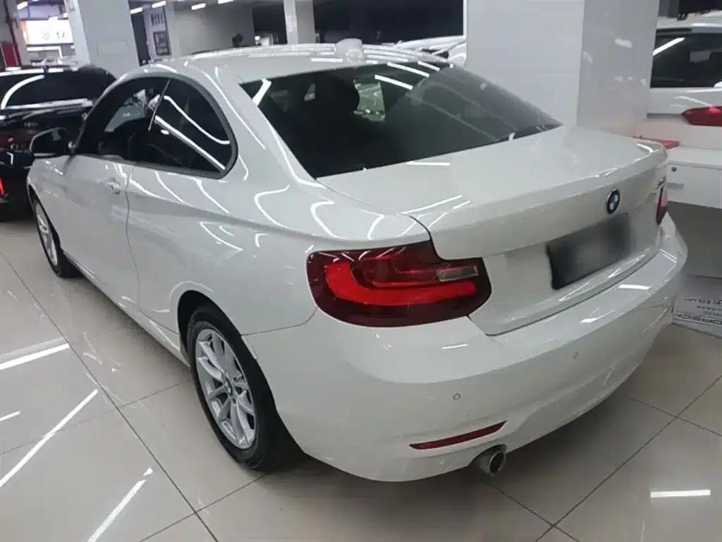 2015 BMW 2 Series (Imported) 218i — миниатюра 5