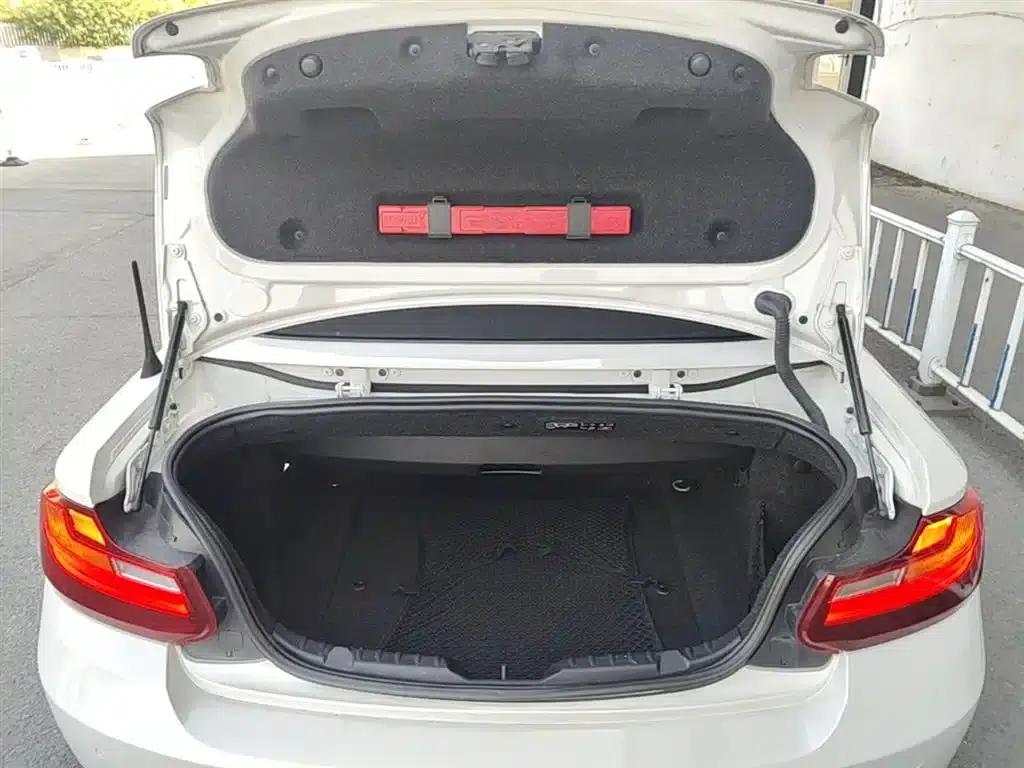 2015 BMW 2 Series Imported 218i Convertible Coupe — миниатюра 18