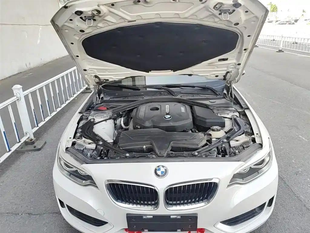 2015 BMW 2 Series Imported 218i Convertible Coupe — миниатюра 19