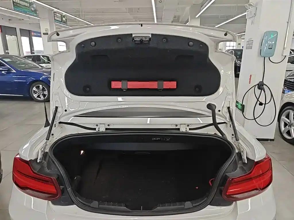 2018 BMW 2 Series Imported 220i Convertible Coupe with Sport Design Package — миниатюра 19