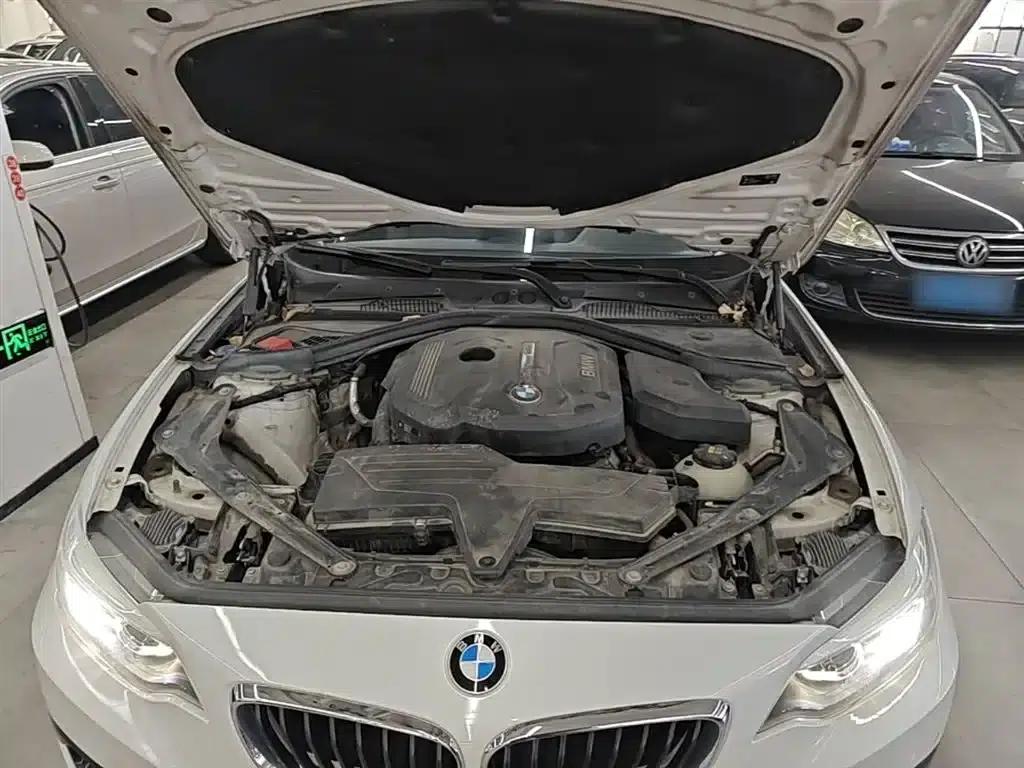 2018 BMW 2 Series Imported 220i Convertible Coupe with Sport Design Package — миниатюра 20