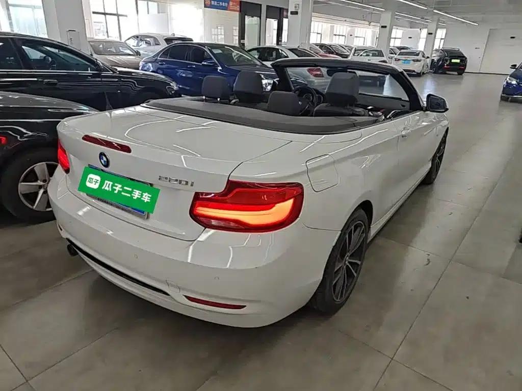 2018 BMW 2 Series Imported 220i Convertible Coupe with Sport Design Package — миниатюра 7