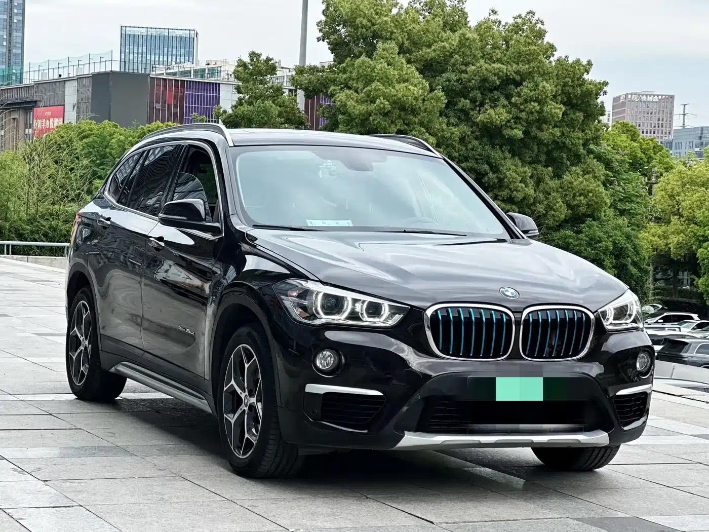 BMW X1 PHEV 2018 xDrive25Le Luxury — миниатюра 3