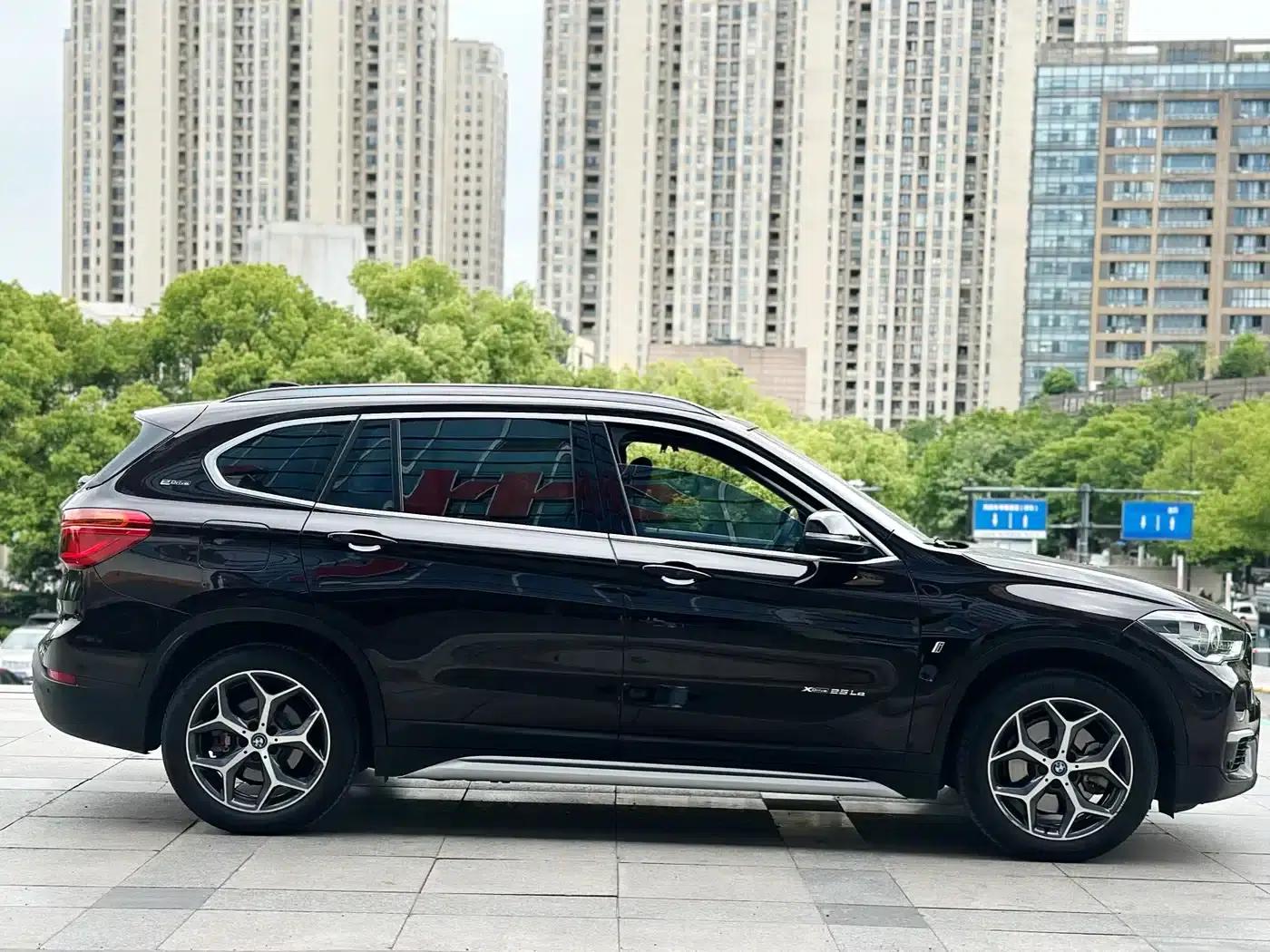 BMW X1 PHEV 2018 xDrive25Le Luxury — миниатюра 7