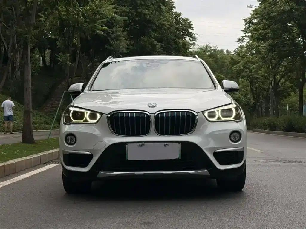 BMW X1 PHEV 2018 xDrive25Le Luxury — миниатюра 2