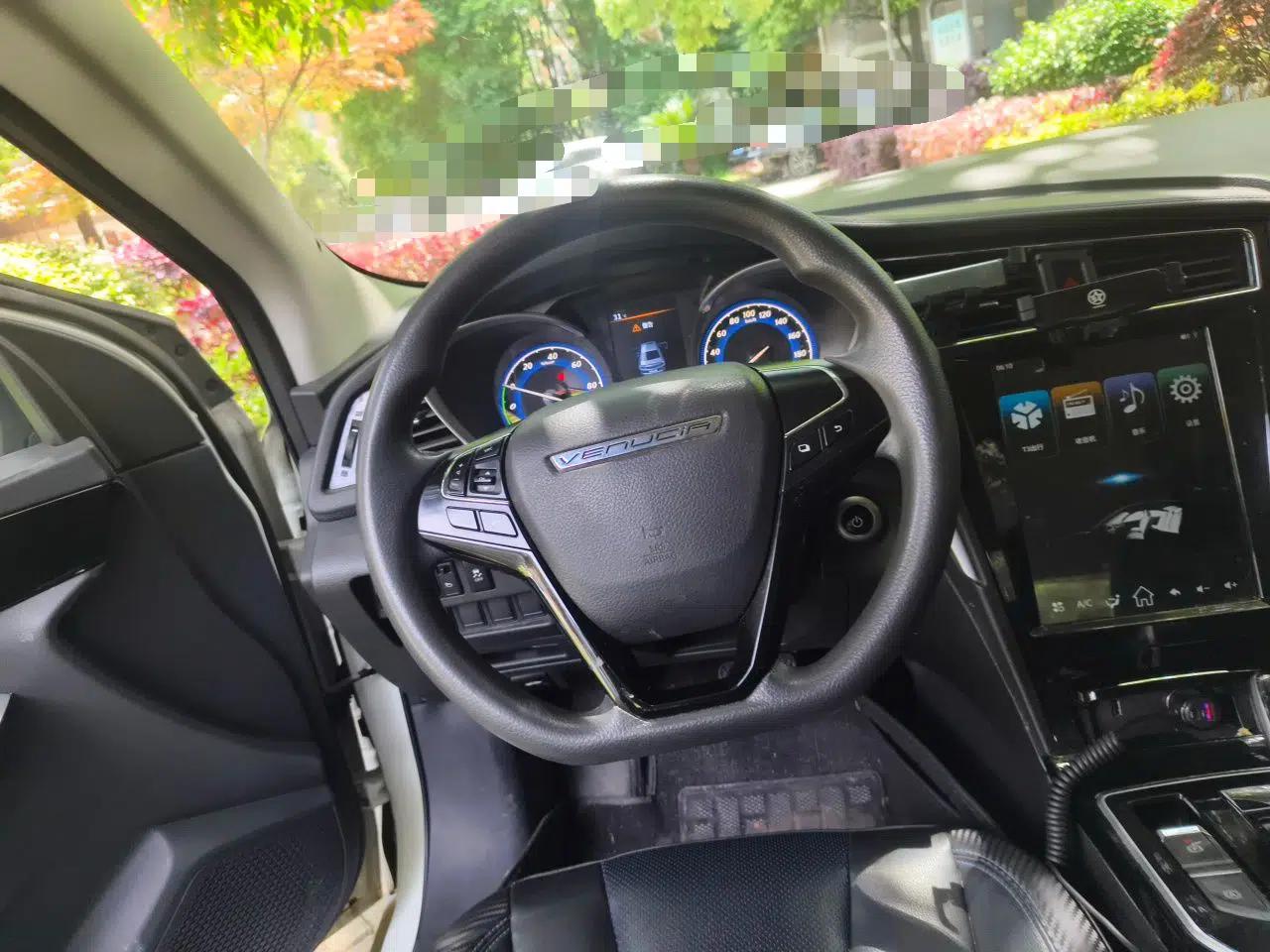 Venucia D60EV 2020 Standard Range T3 — миниатюра 11