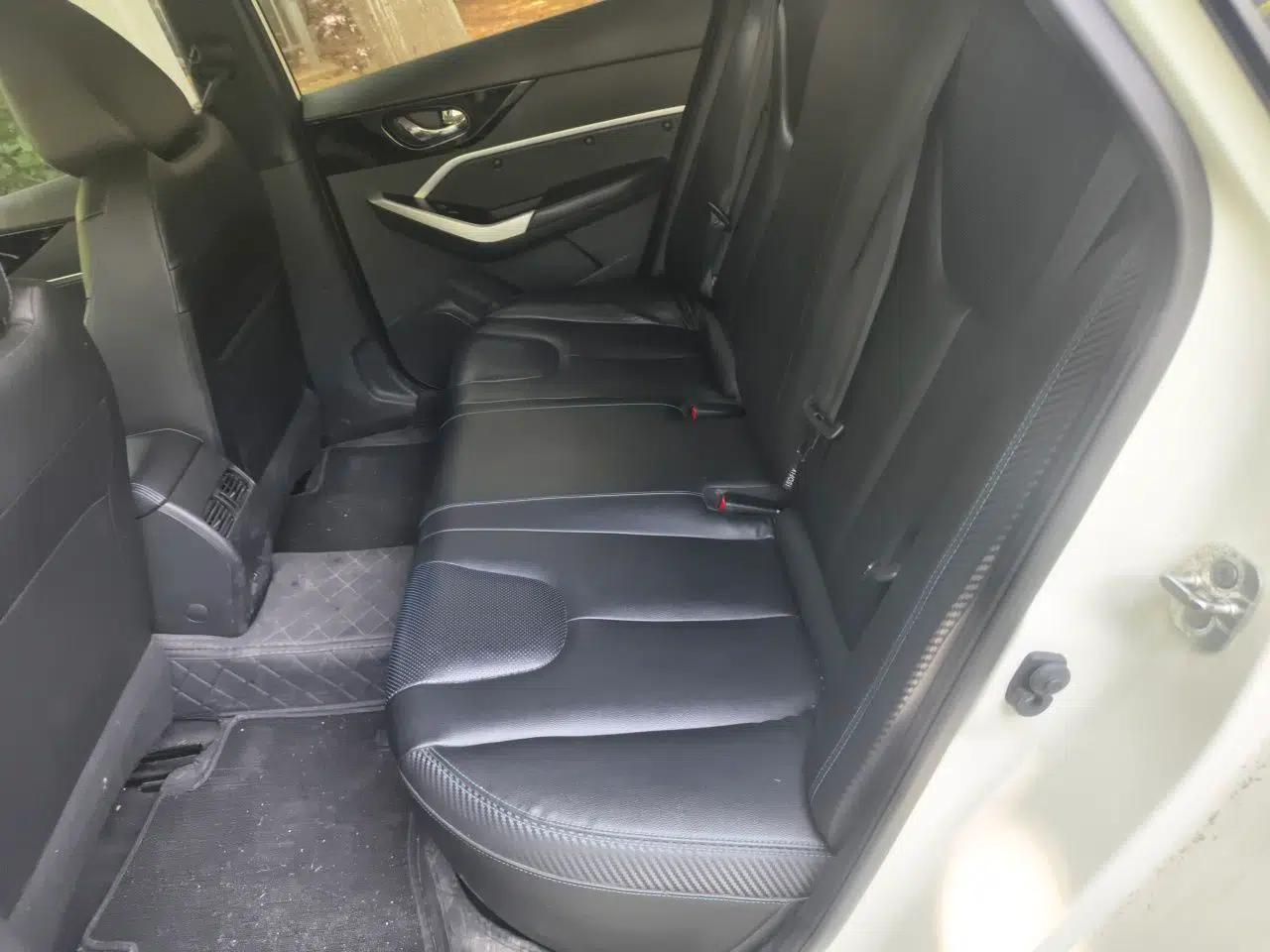 Venucia D60EV 2020 Standard Range T3 — миниатюра 18