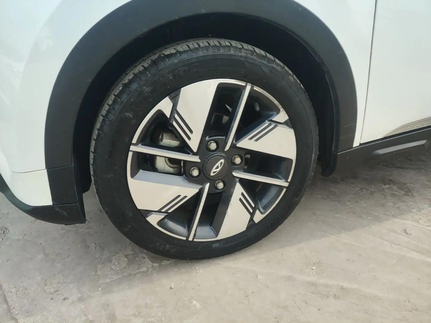 Chery New Energy Boundless Pro 2022 301 km Range "Divine Beast" Version Lithium-Ion Battery 30.6 kWh — миниатюра 4