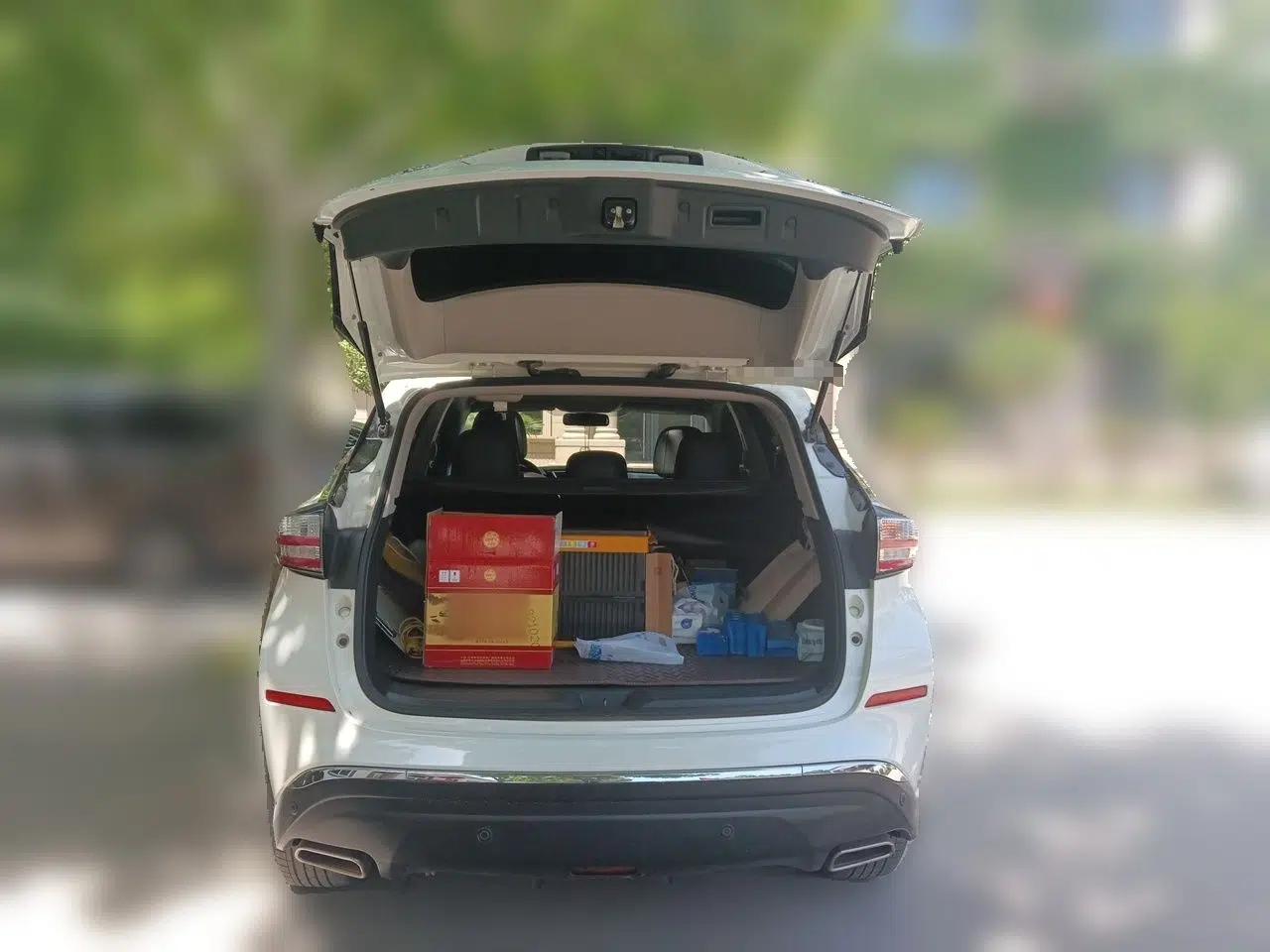 Nissan Murano 2017 2.5L XL Two-Wheel Drive Smart Edition — миниатюра 20