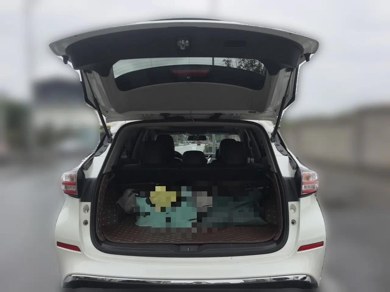 Nissan Murano 2017 2.5L XL Two-Wheel Drive Smart Edition — миниатюра 20