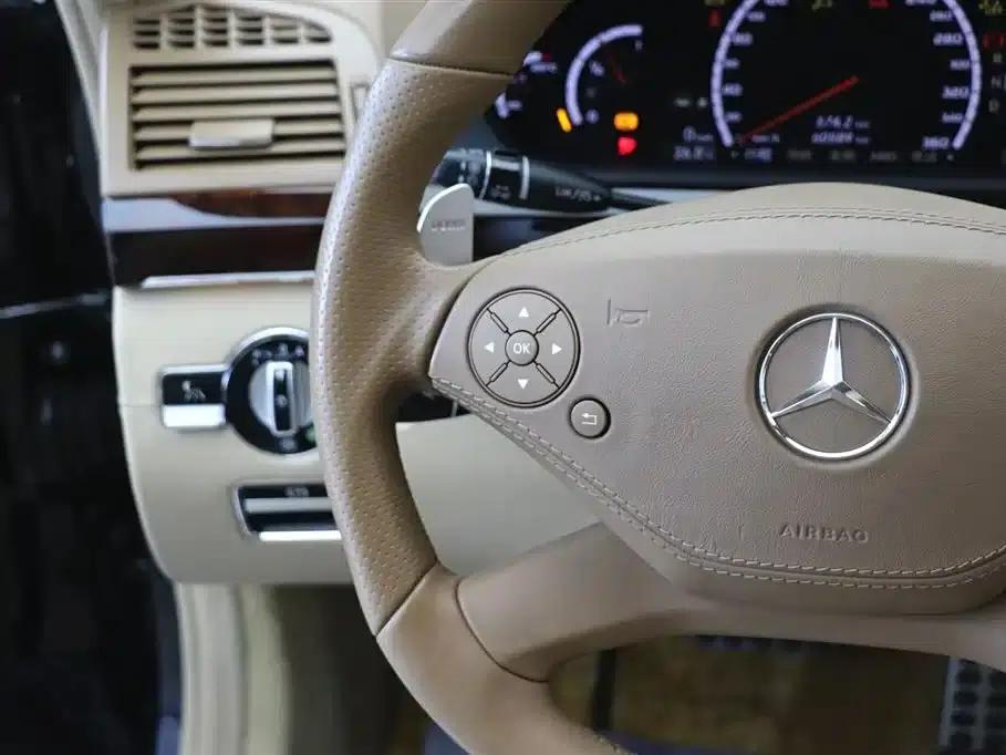 2010 Mercedes-Benz S-Class AMG S 65 — миниатюра 18