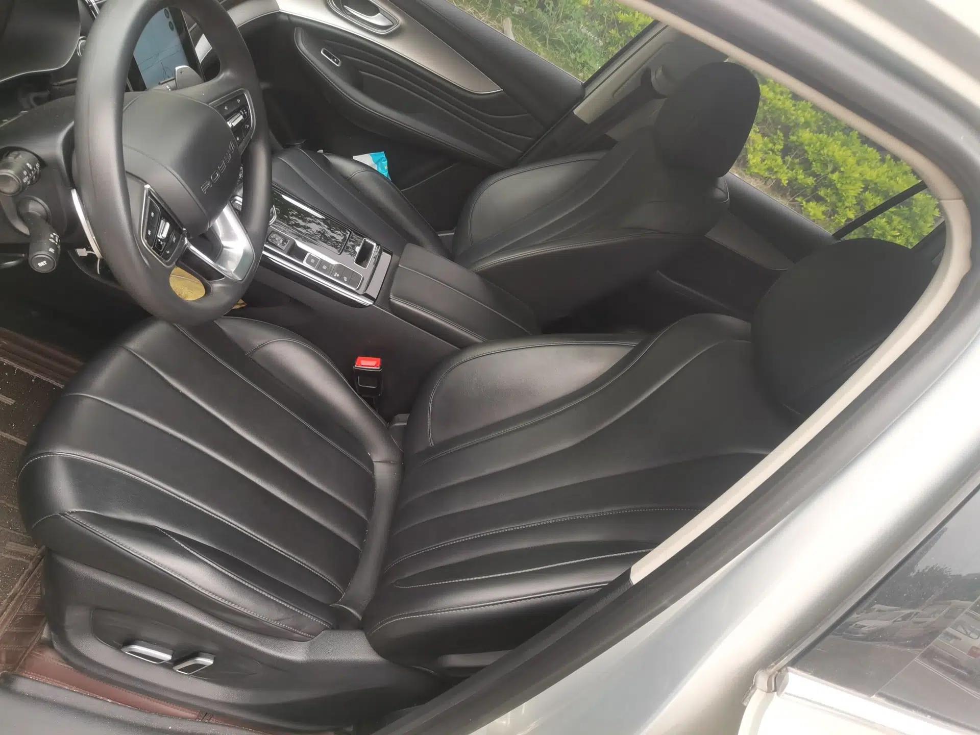 Roewe RX5 MAX 2019 300TGI Automatic 4G Connect Luxury Edition — миниатюра 16