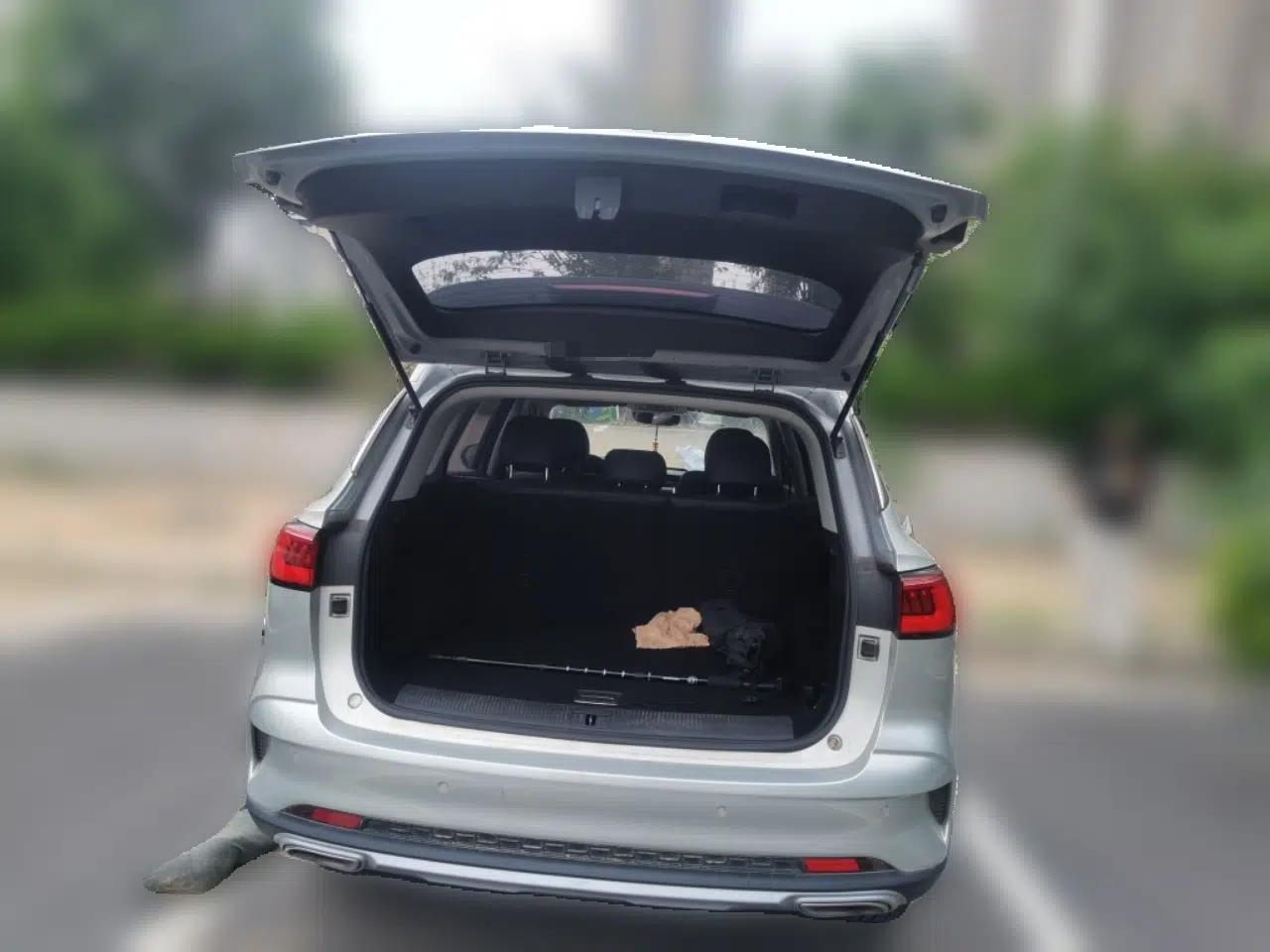 Roewe RX5 MAX 2019 300TGI Automatic 4G Connect Luxury Edition — миниатюра 20