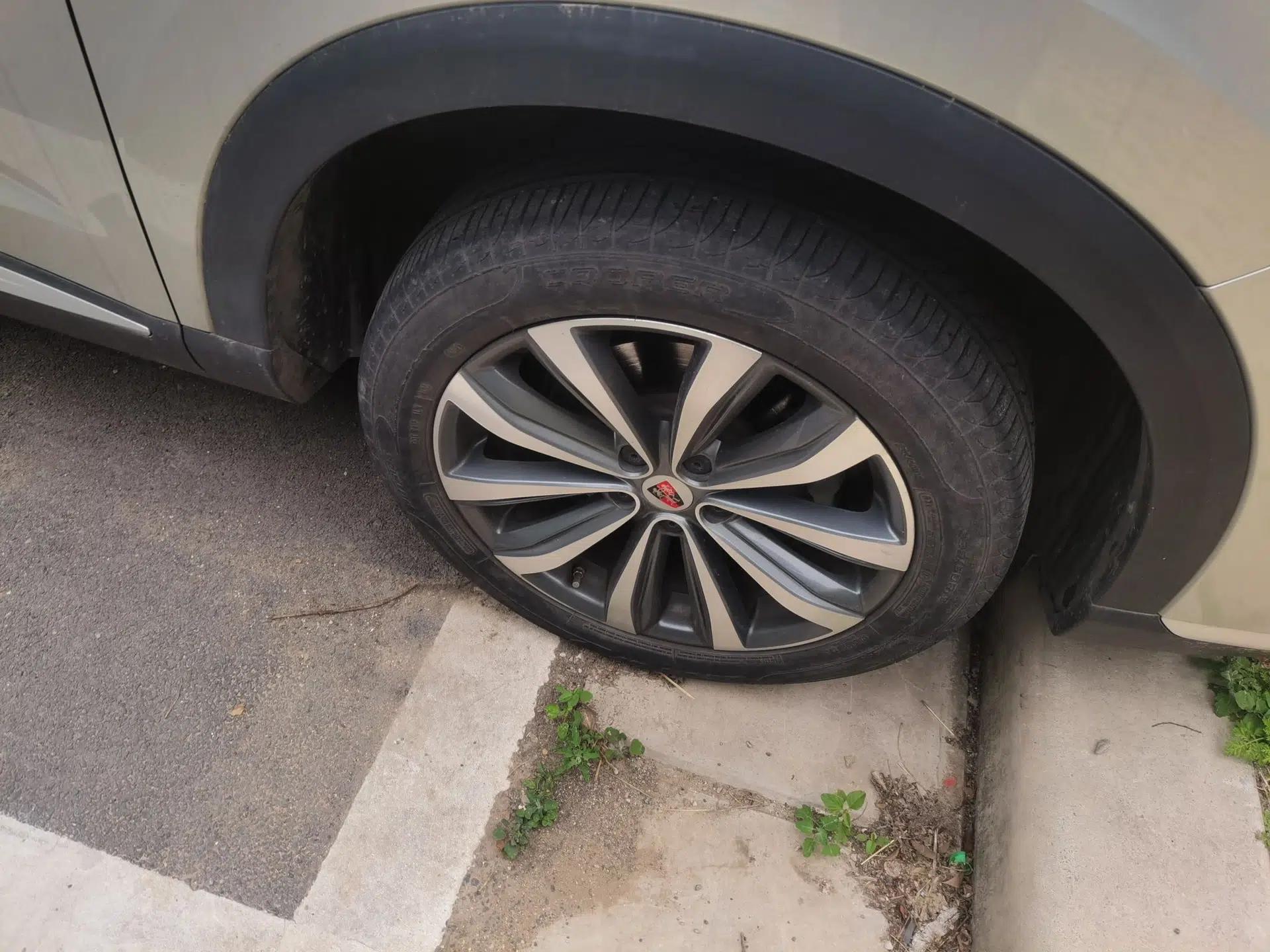 Roewe RX5 MAX 2019 300TGI Automatic 4G Connect Luxury Edition — миниатюра 8