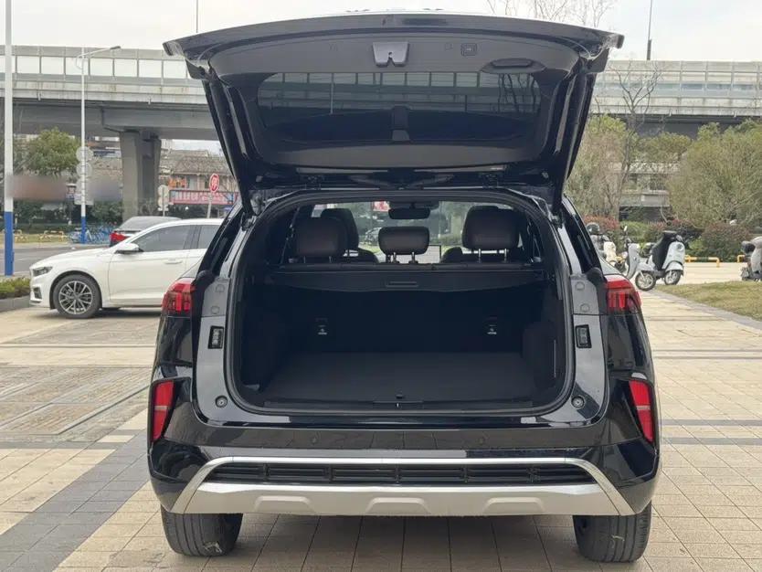 Wey Mocha 2021 2.0T Two-Wheel-Drive Ultra-Strong Version — миниатюра 12