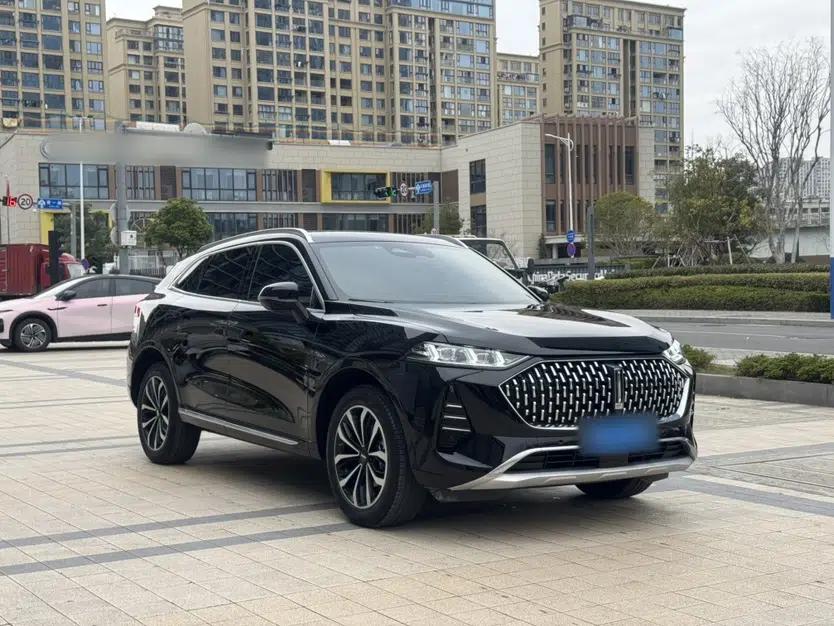 Wey Mocha 2021 2.0T Two-Wheel-Drive Ultra-Strong Version — миниатюра 4