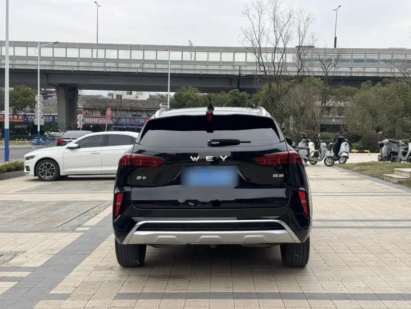 Wey Mocha 2021 2.0T Two-Wheel-Drive Ultra-Strong Version — миниатюра 6