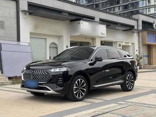 Wey Mocha 2021 2.0T Two-Wheel-Drive Ultra-Strong Version