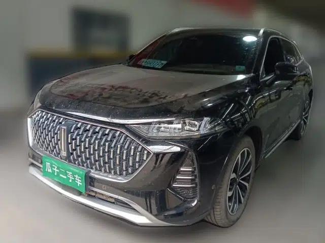 Wey Mocha 2021 2.0T Four-Wheel Drive Premium Edition