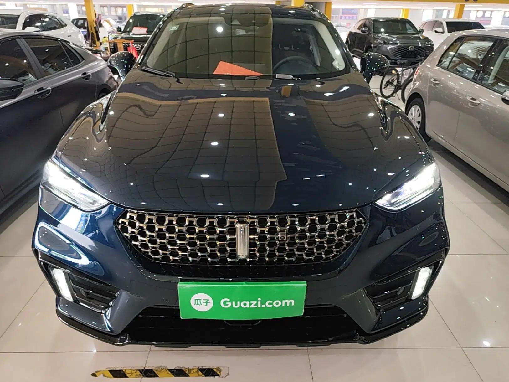 Wey VV7 GT 2020 2.0T Flagship Edition — миниатюра 2