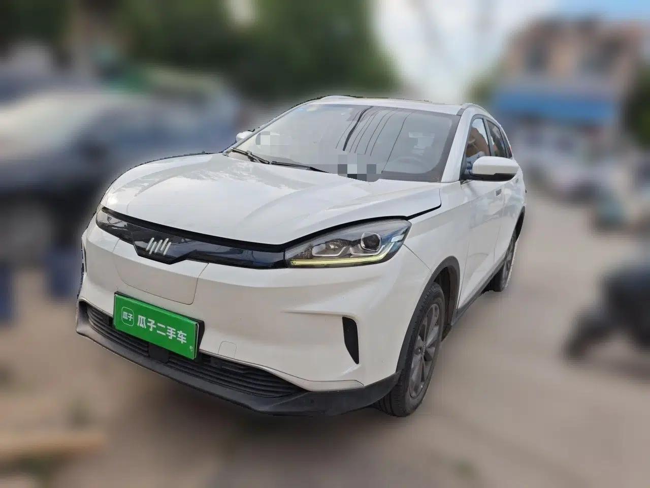 WM Motor EX5 2019 EX5 Mate Weymeng Edition 400 — миниатюра 1
