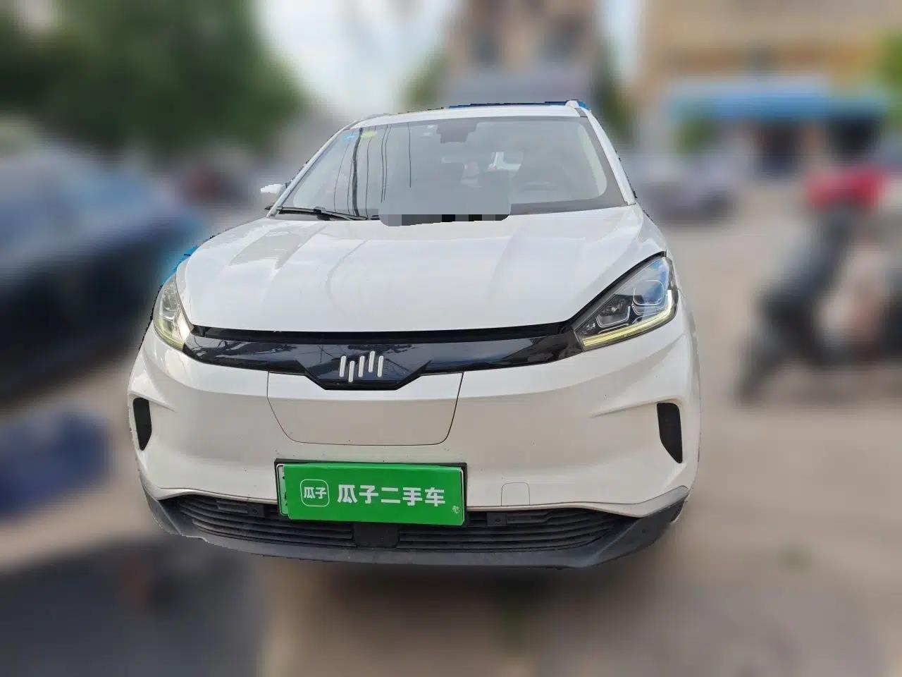 WM Motor EX5 2019 EX5 Mate Weymeng Edition 400 — миниатюра 2