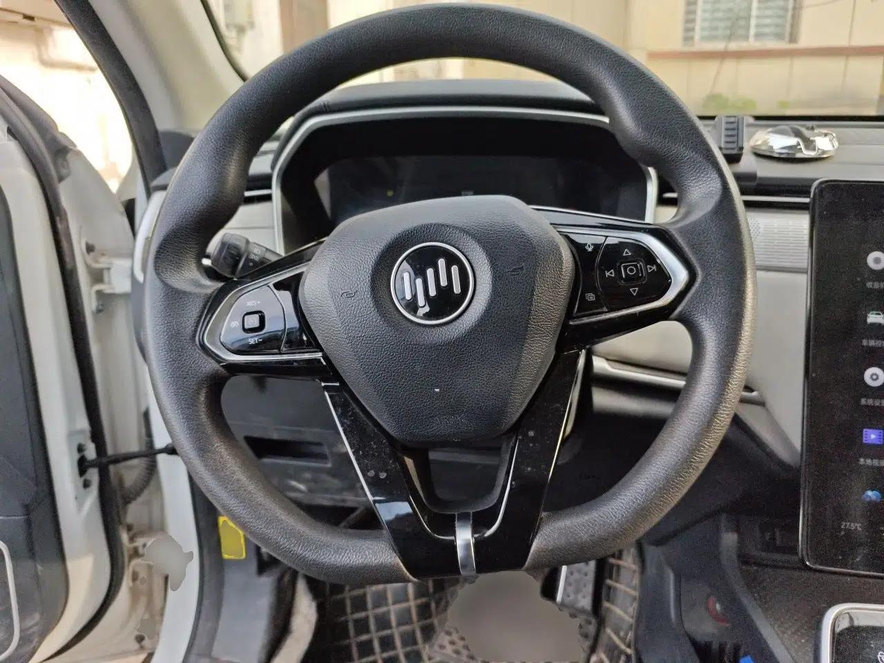 WM Motor EX5 2019 EX5 Mate Weymeng Edition 400 — миниатюра 11