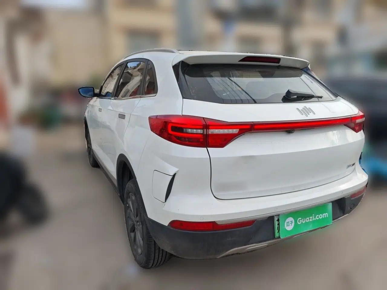 WM Motor EX5 2019 EX5 Mate Weymeng Edition 400 — миниатюра 4