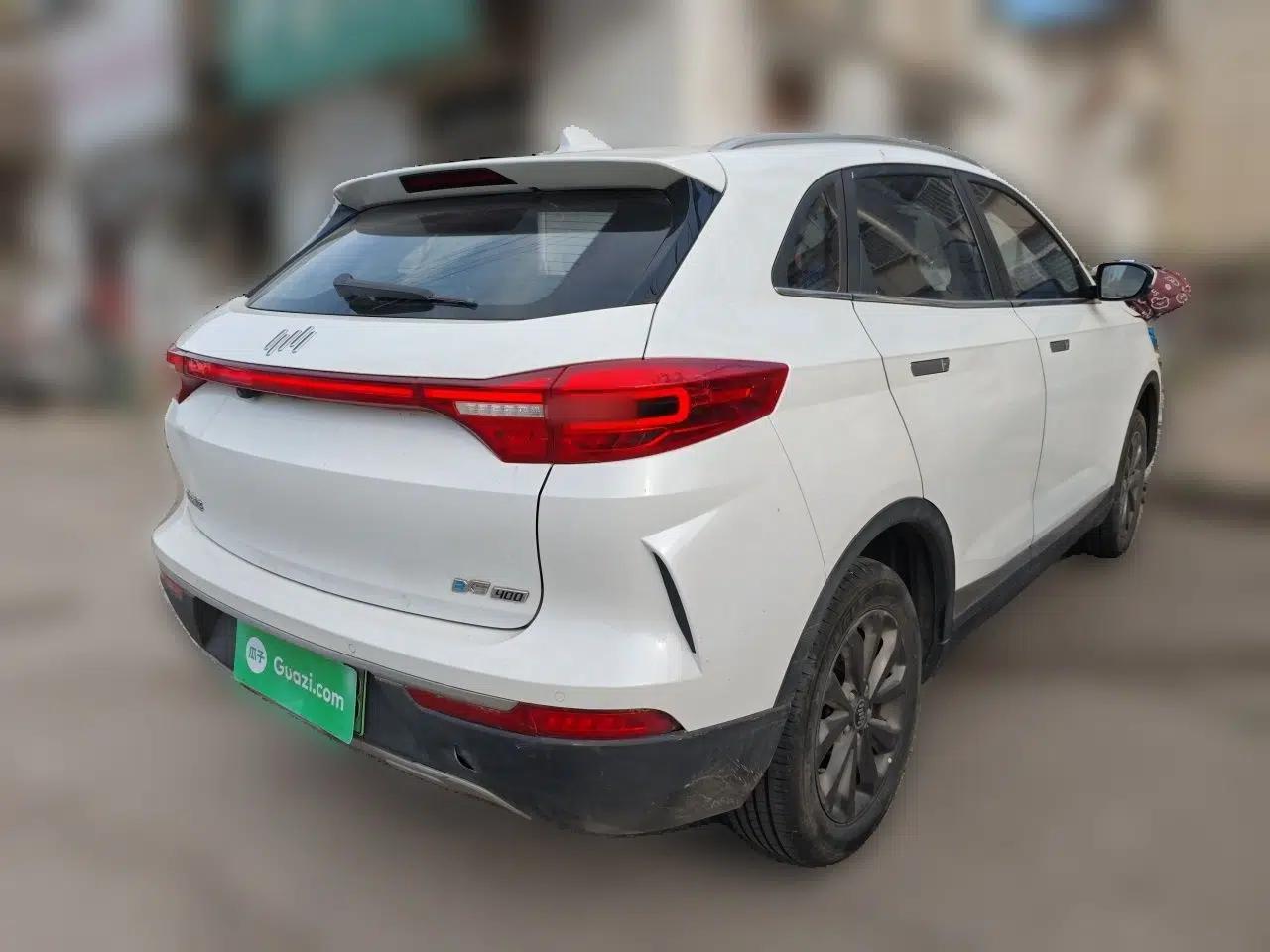 WM Motor EX5 2019 EX5 Mate Weymeng Edition 400 — миниатюра 6