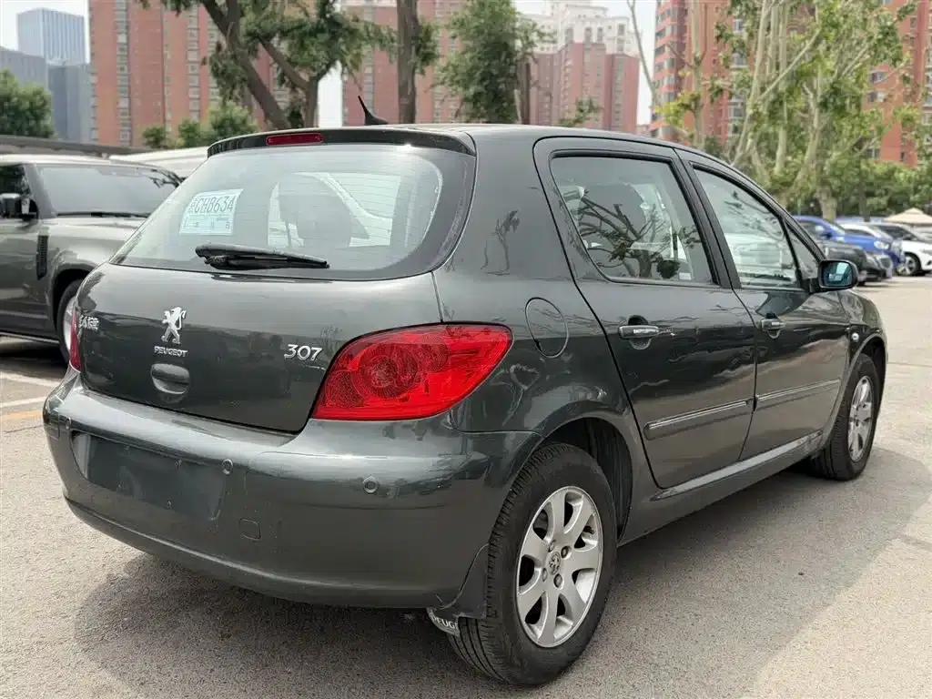 Peugeot 307 2010 Hatchback 1.6L Automatic Luxury Edition — миниатюра 11