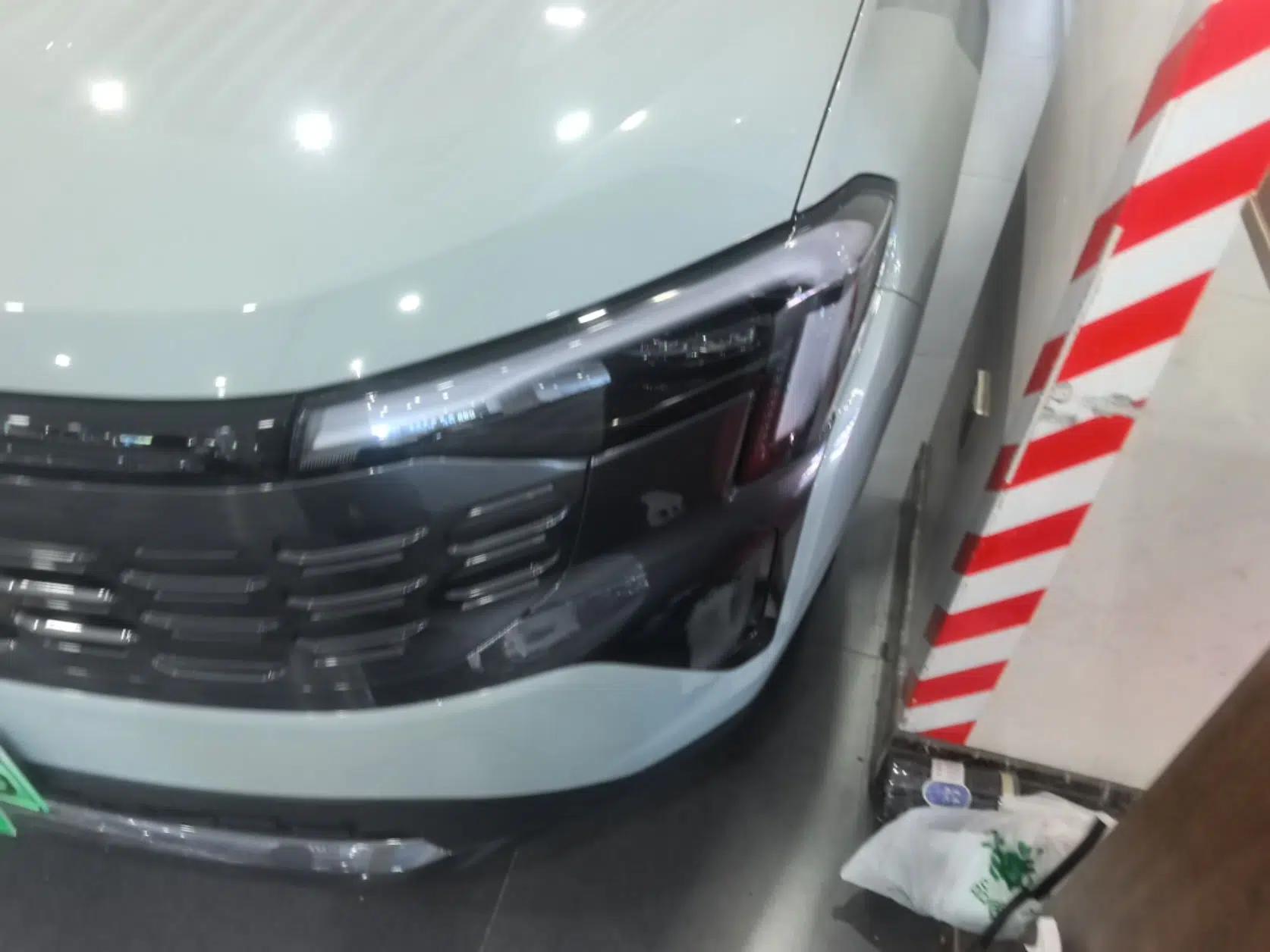Ford Equator Sport New Energy 2025 Platinum Edition — миниатюра 5
