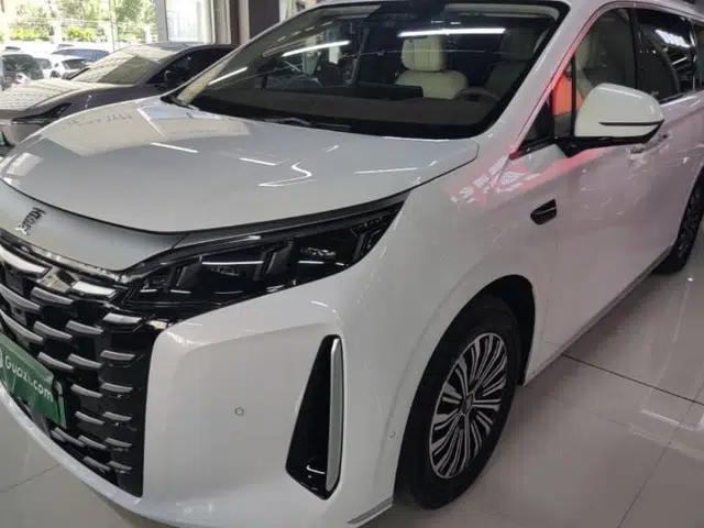 BYD Xia 2025 DM-i 1.5T 100km Leading Model