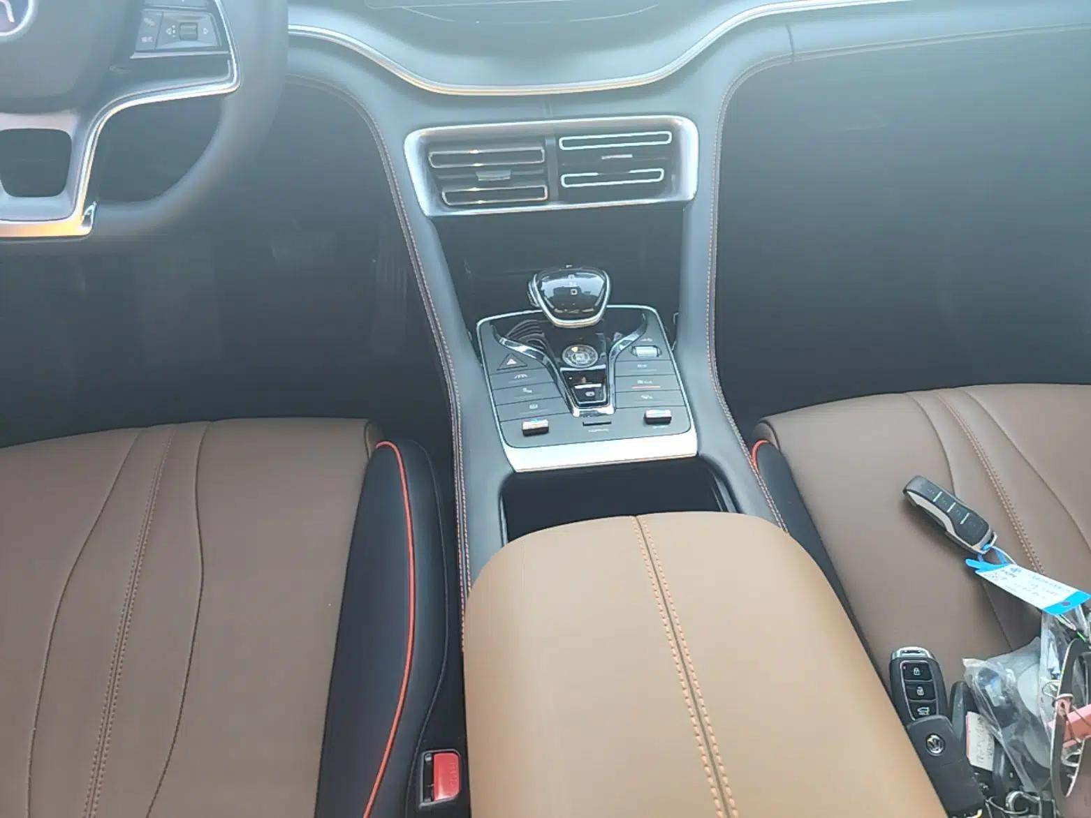 BYD Song PLUS 2020 1.5T Automatic Flagship Edition — миниатюра 16