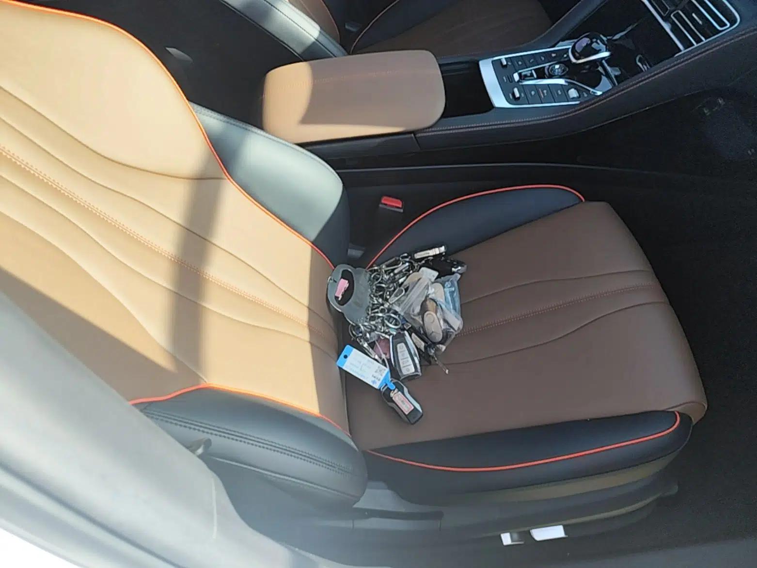 BYD Song PLUS 2020 1.5T Automatic Flagship Edition — миниатюра 23