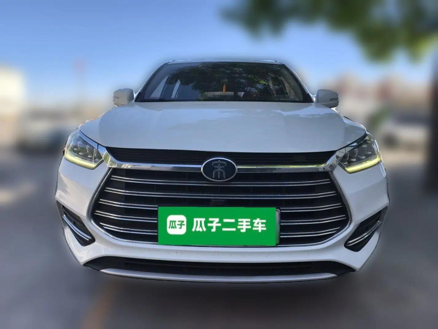 BYD Song New Energy 2019 Song DM 1.5TID Smart Connect Dynamic Model — миниатюра 2