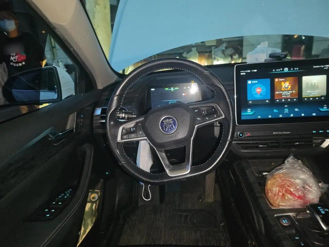 BYD Qin Pro New Energy 2018 EV500 Smart Connect Elite Model — миниатюра 11