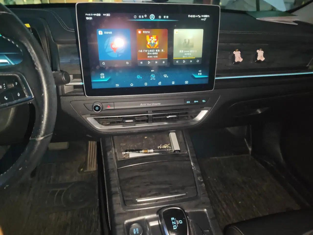 BYD Qin Pro New Energy 2018 EV500 Smart Connect Elite Model — миниатюра 14