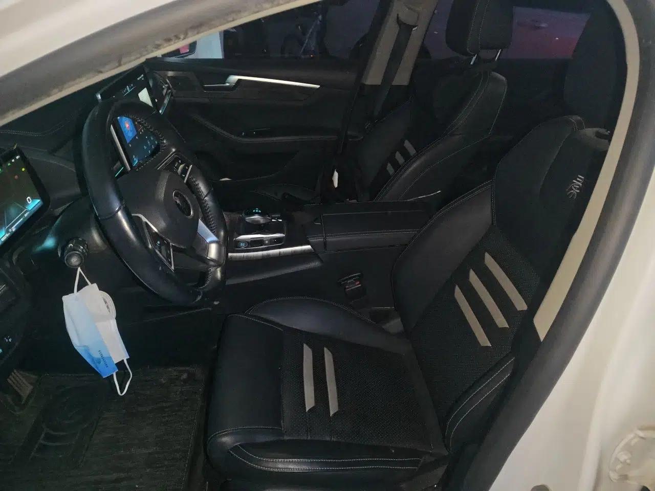 BYD Qin Pro New Energy 2018 EV500 Smart Connect Elite Model — миниатюра 16