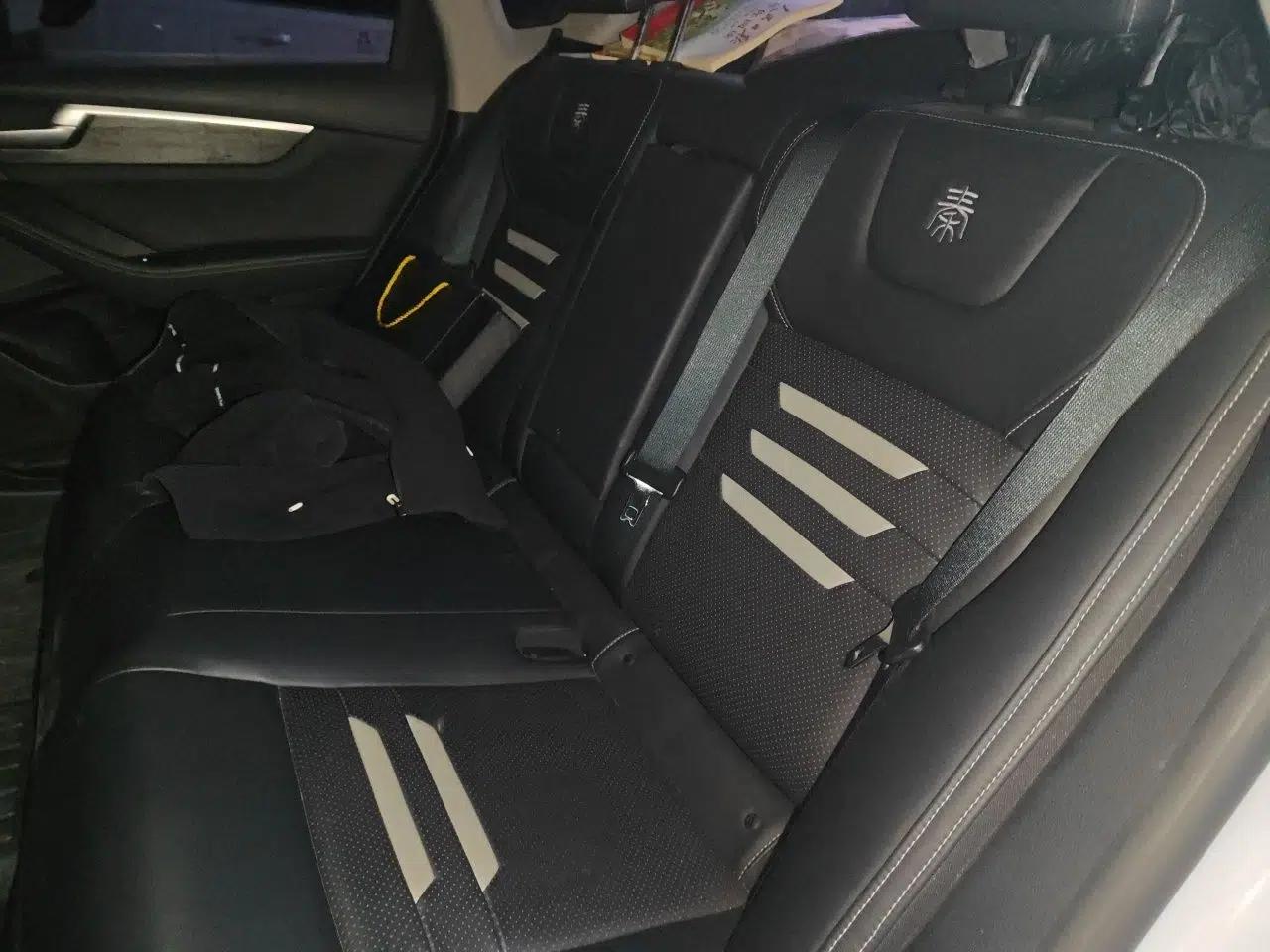 BYD Qin Pro New Energy 2018 EV500 Smart Connect Elite Model — миниатюра 18