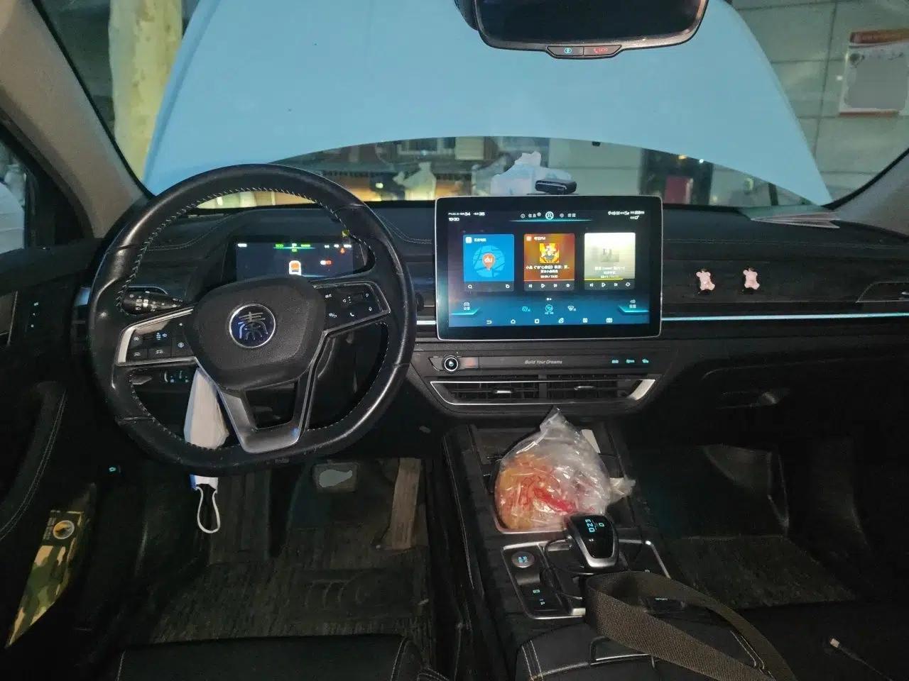 BYD Qin Pro New Energy 2018 EV500 Smart Connect Elite Model — миниатюра 10